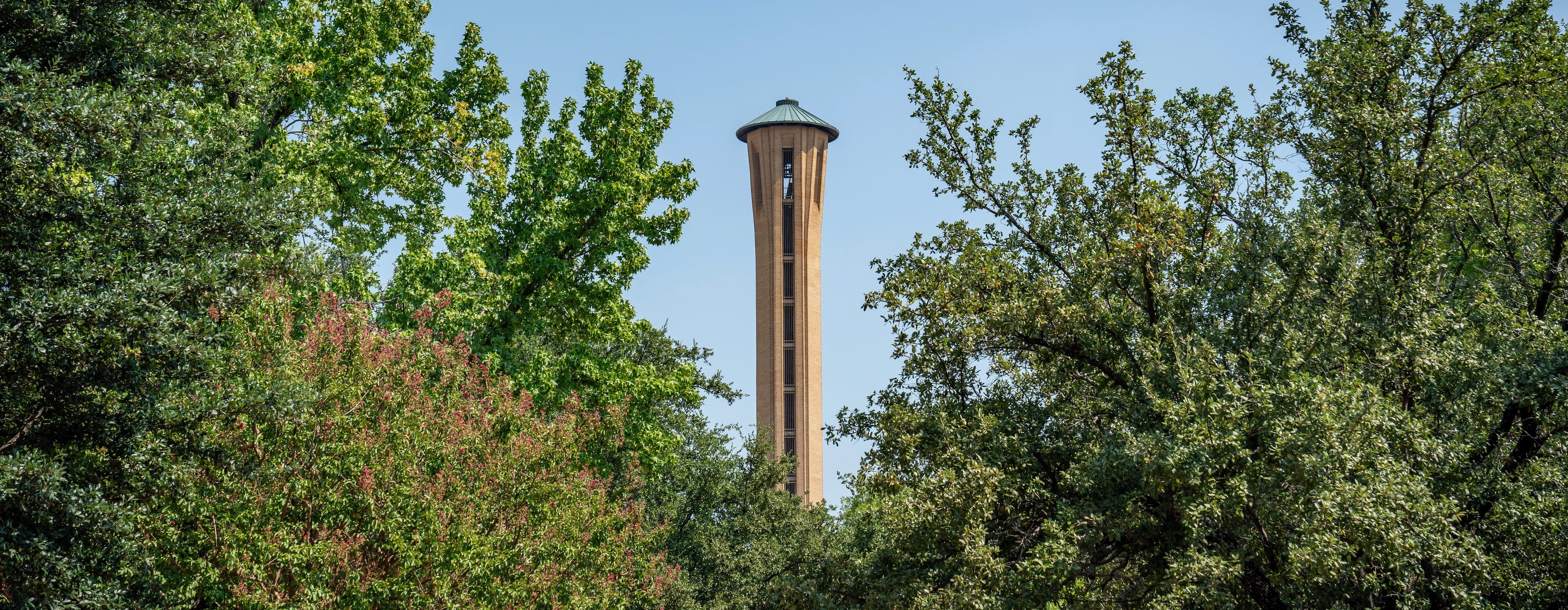 Braniff Memorial Tower above trees